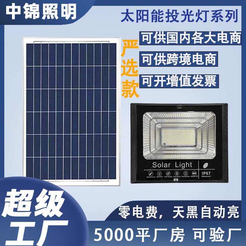 惠民新款太阳能灯户外照明庭院灯太阳能投光灯新农村路灯厂家直销