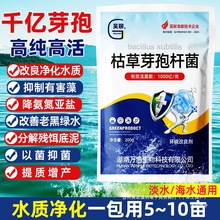 1000 �|�߻��Կݲ�ѿ�ߗU���ĵ׷ֽ��ЙC�|ˮ��ˮ�a��ˮѿ�ߗU��