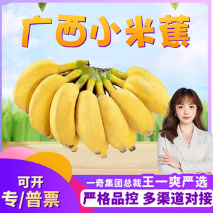 �����x���V��С���㽶 ���l3/9�����rˮ��ܛŴС�㽶���O���۽�