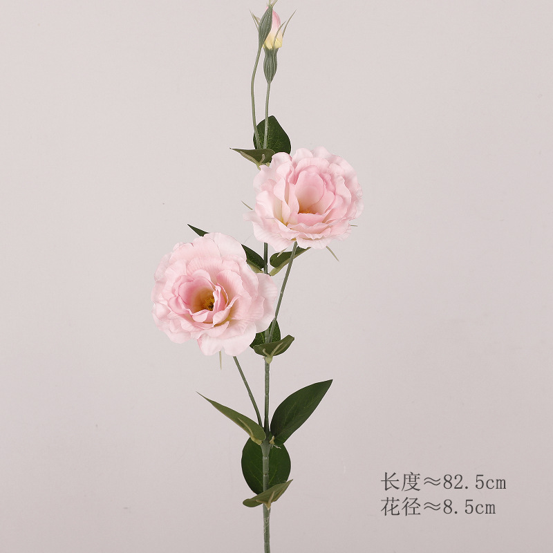도라지꽃(핑크)