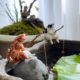 Kitten fishing ornaments fish tank landscaping Meow fishing good weather leisure Cat Fishing cat hanging decorations
