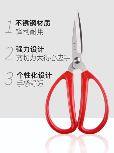 Zhang Xiaoquan scissors stainless steel household scissors small scissors handmade paper cutting thread kitchen special tip