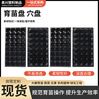 Đĩa cắm cây giống Đĩa cắm vườn cây mọng nước Đĩa cắm cây giống Đĩa ươm cây giống Đĩa ươm cây giống DÂU Bán buôn Đĩa cắm cây giống