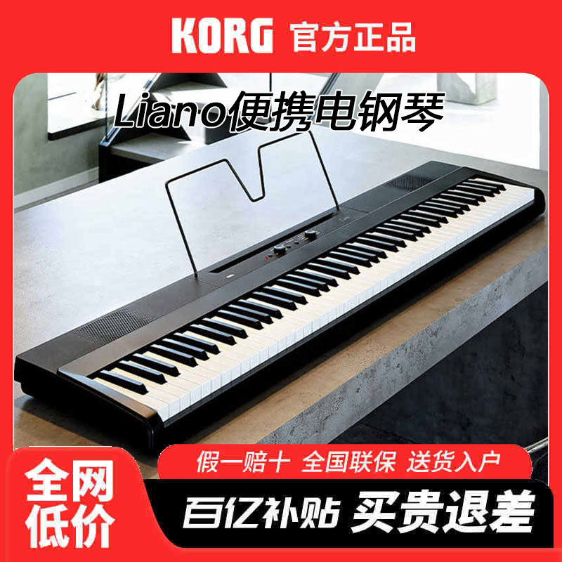 Korg Synthesizer
