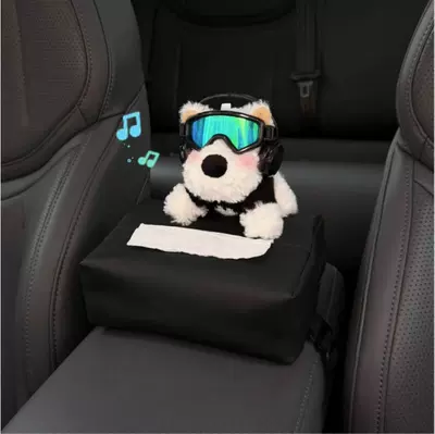 Tissue Box, Car Armrest | Car tissue box/set