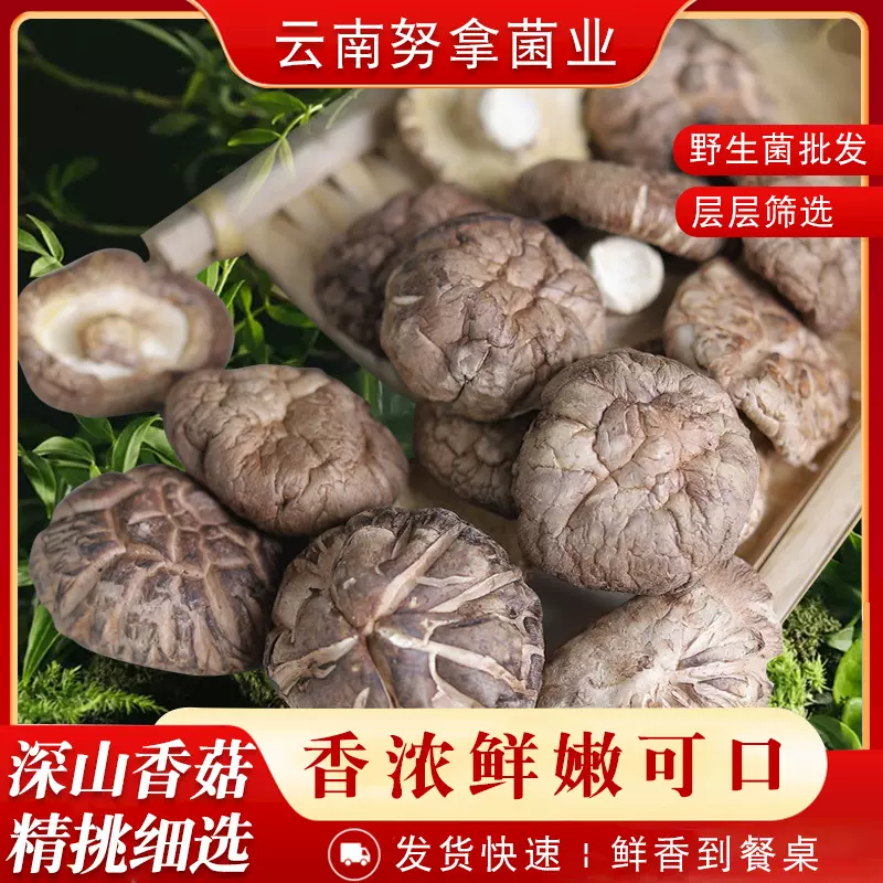 袖珍小香菇500g云南干香菇云南蘑菇野生菌批发珍珠菇