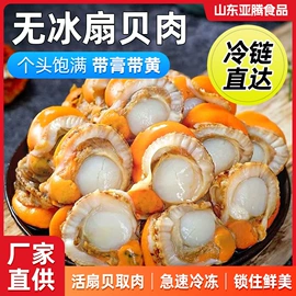 软体类;鱼类;贝类