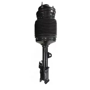Suitable for Lexus RX270 RX350 RX450H air shock absorber 4802048075
