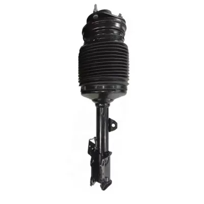 Suitable for Lexus RX270 RX350 RX450H air shock absorber 4802048075 (damping system)