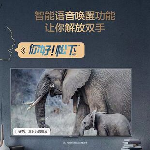 �m��Export TV�����ҕ�羳����75/85Ӣ��4K�������ܾW�j�ȸ�Mini