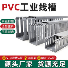 bpvc侀늙о۴XIȼ߾늾