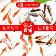 ������С�~��ˮ���B���ͻ����ˮ�~�^�p�~����С���~���~��һ��