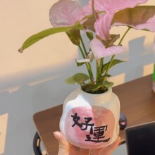 �t�ۼ��˺Ϲ����ɫֲ������k���҃�����Gֲ��������