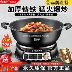 扬子电炒锅家用多功能蒸煮炒炖电锅一体式电火锅铸铁炒菜锅不粘锅