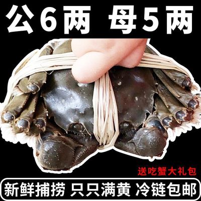 大闸蟹满黄母鲜活海鲜水产特大螃蟹礼盒装6.2两阳澄湖镇发16只|ru