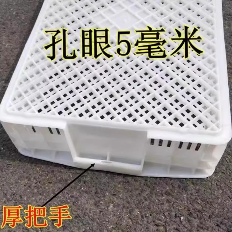 O1CN01L0uSMp1TkPLu1LNMZ_!!2212