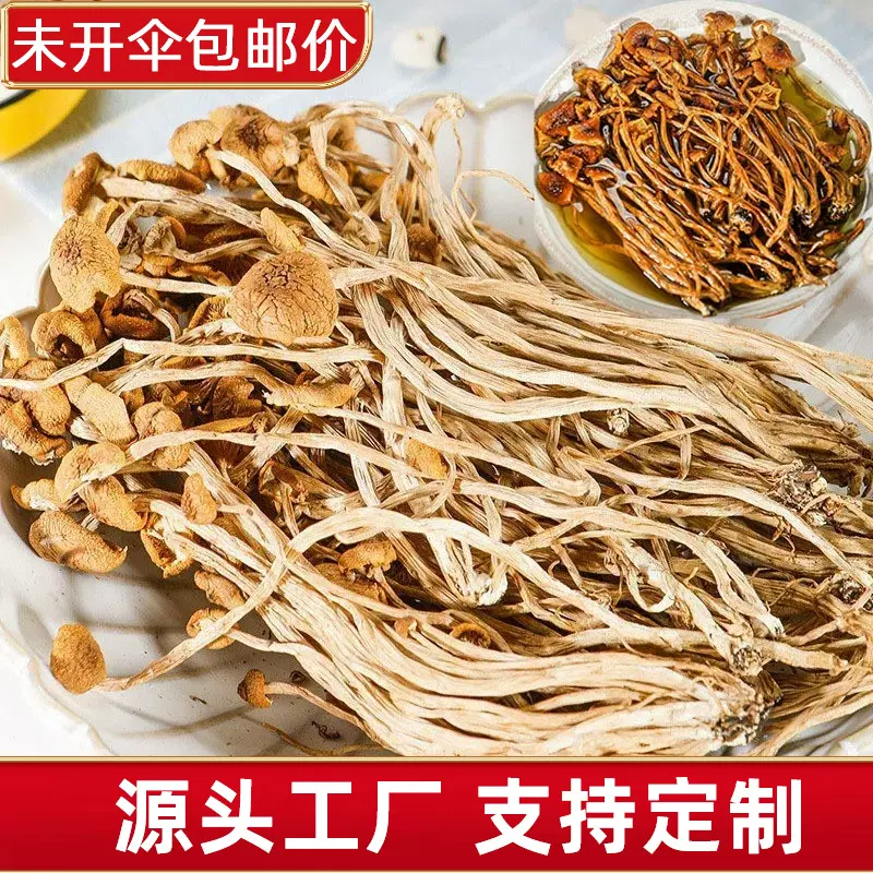 一件代发干茶树菇一整箱茶树菇 干茶树菇未开伞1斤装原产地批