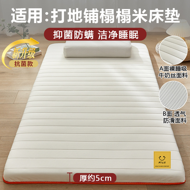 地铺睡垫家用床垫软垫防潮地垫打地铺神器租房专用垫学生宿舍单人|undefined