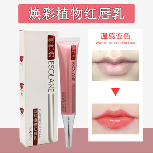 Ҽ�㷻�y���t���� �������ļt���۴��ʸ��ƞ���Ư����t�������l