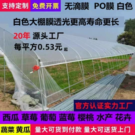 其他塑料薄膜;农用薄膜;其他农业