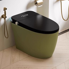 レトログリーンカラーのスマートトイレ全自動セラミックオールインワン家庭用トイレ水圧制限なし