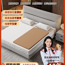 床垫护腰护脊椎床板单人沙发硬垫板塌陷软床变床垫加硬薄