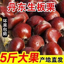 ���r���Fժ���|����5�����������_����w�����������Fȥë��1