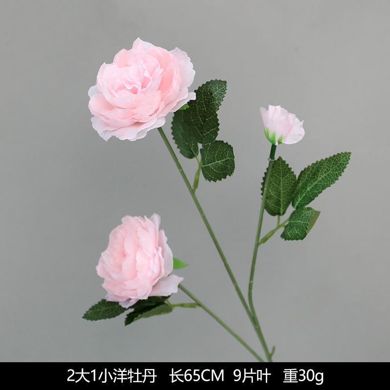 2 큰 1 작은 외국 모란