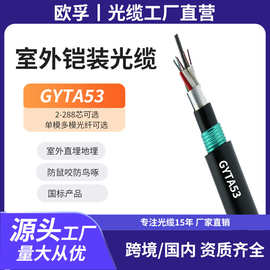 GYTA53-4B1/B1.3层绞双铠双护套直埋地埋光缆6芯8芯单模光纤钢铠