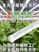 δ��ֲ���a���ȫ���Vֲ�����L��ˮ���~�߲˽M������Gֲ���ܲ�ݮ