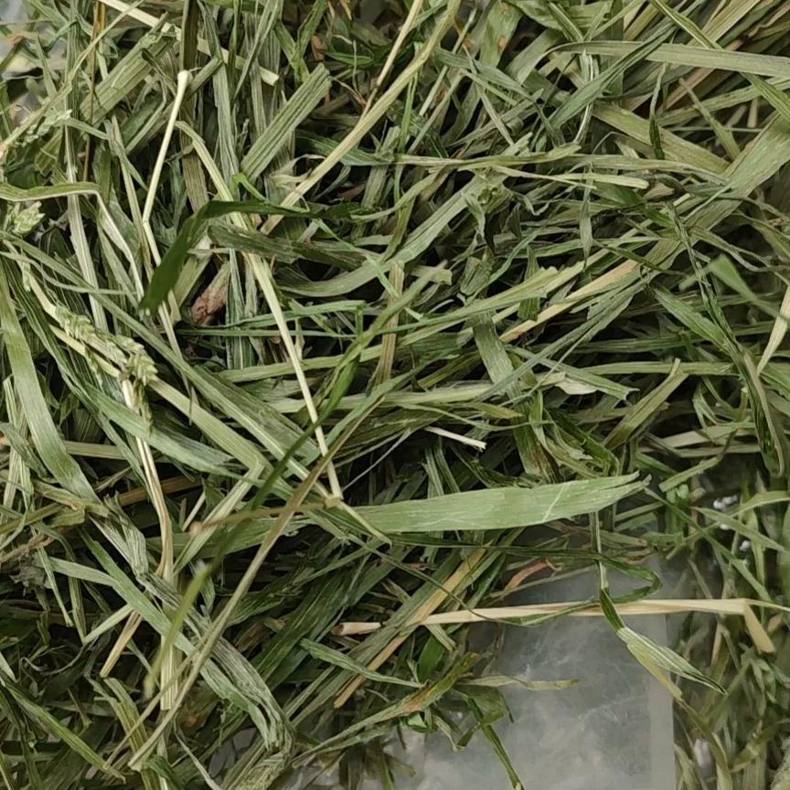 Сушеная тимофеевка Rabbit Rabbit Dry Grass оптовая поставка Timosi Grass Rabbit гранулы Dutch Pork высушивание Бесплатная доставка