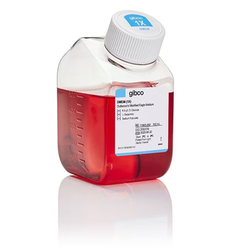 11965092赛默飞DMEM高糖哺乳动物细胞培养无菌过滤500mL Thermo