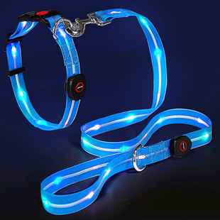 Amazon LED Luminous Dog Rope Pet Supplies Traction Rope for Small and Medium-sized Dog PVC Encapsulated Cross-border Flash Collar