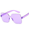 Square trend sunglasses, 2023 collection, European style