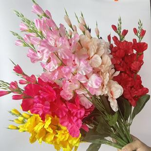 ���Q���l5��������m���滨�ٻ��Ƶ�Ҿә����b�����������