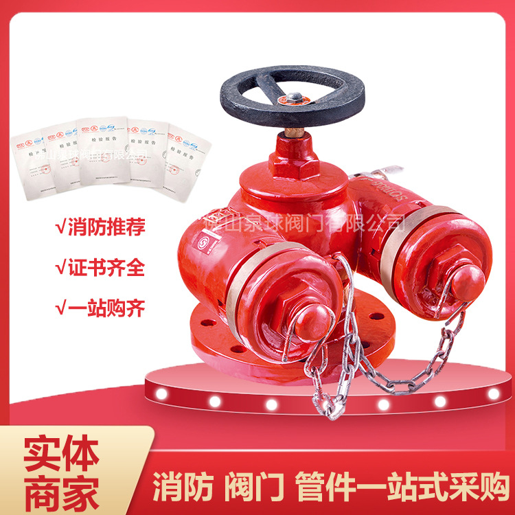 平安消防多用式水泵接合器捷晟DN150多功能水泵接合器sqs100-a150