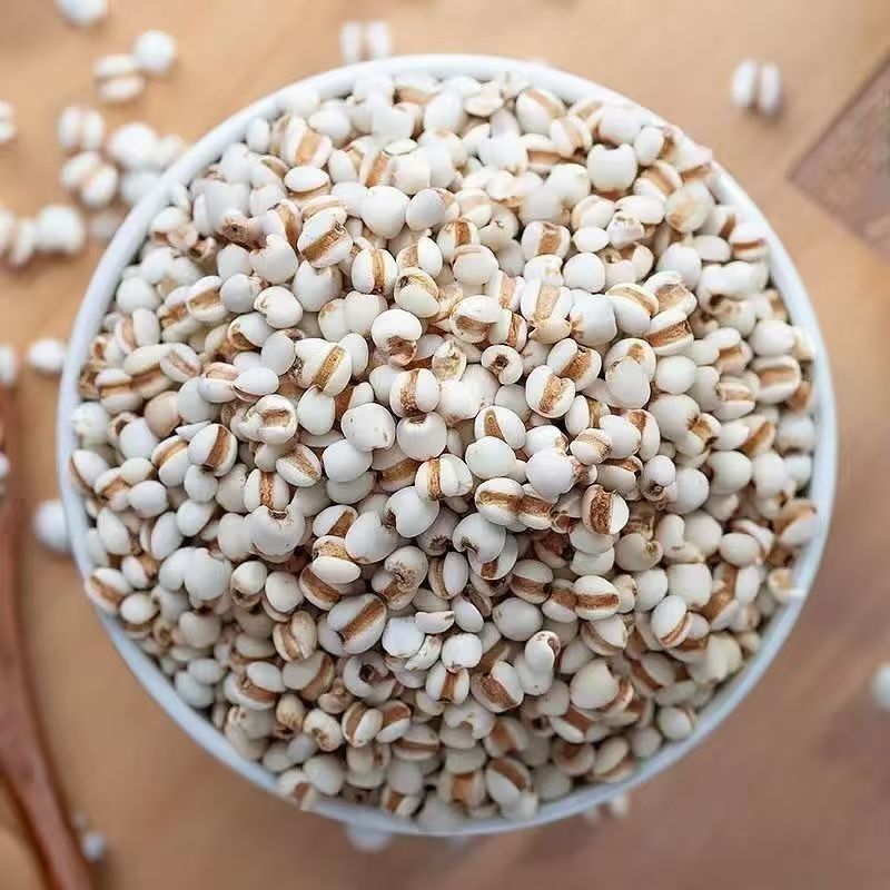 Roasted Coix Seed Powder Yi Yi Ren 薏苡仁 Coix lacryma-jobi 500g Herbal Powder for Drinks and Congee quality and texture