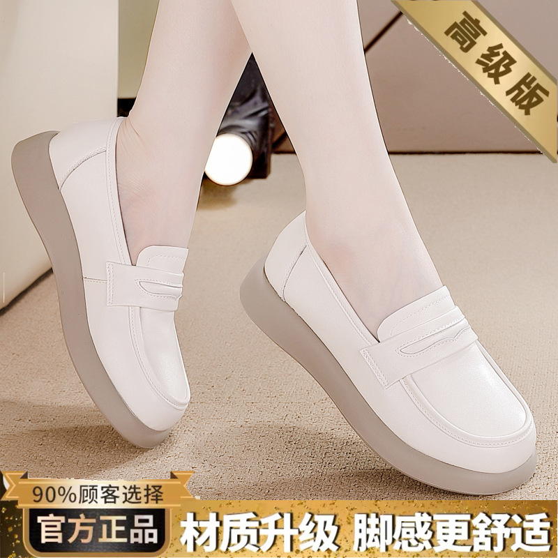 베이지 업그레이드 버전