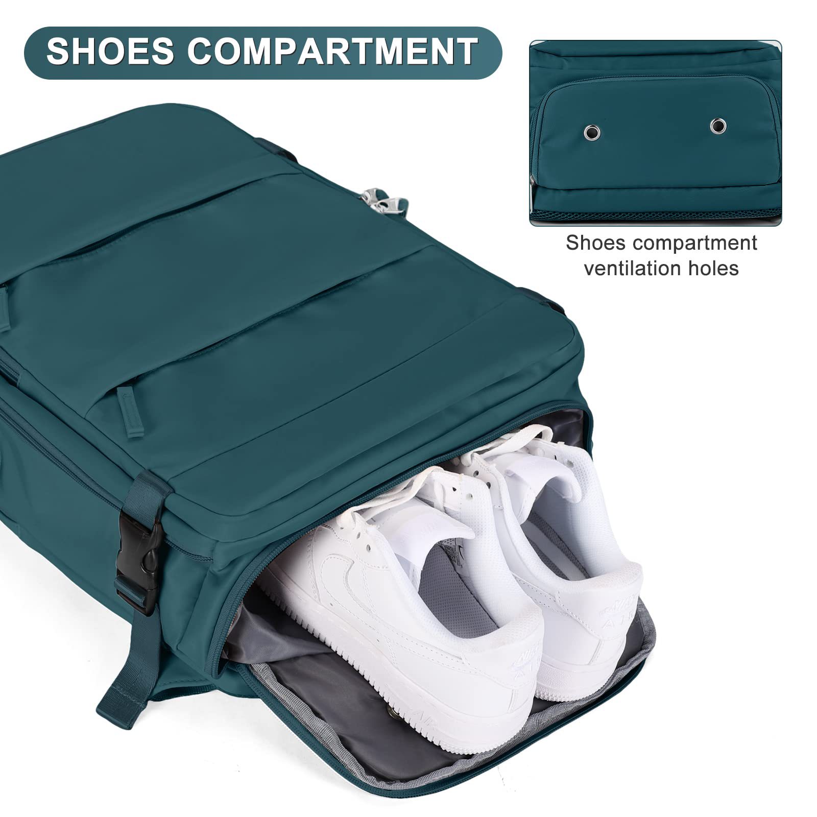 Peacock Blue-large-05.jpg