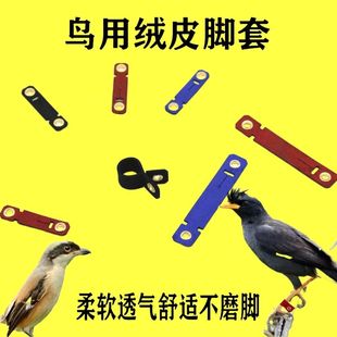 �˸��_�h�qƤ�_�ײ������B��������ϲ�o����˨�B�_���M�ڽqƤ�_��