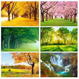 秋天风景海报画红叶树木森林图片自然山水瀑布客厅装饰不干胶贴纸