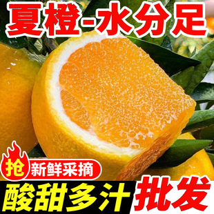 �������w�ĳ����rˮ�������m�Юa��ֱ�l�[��ե֭�r��������]����