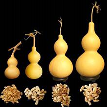 ͥԺ�Nֲ�ش���С�������J�Ѿ��ʹ���J����������J�N������ֲ��