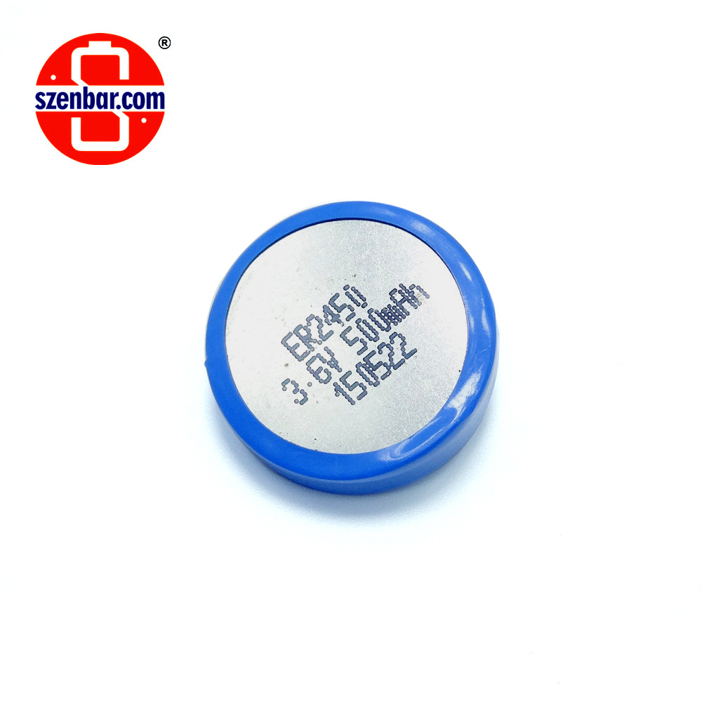 异形 弧形ER2450 3.6V Li-SOCl2 Battery 扣式能量型系列锂亚电池