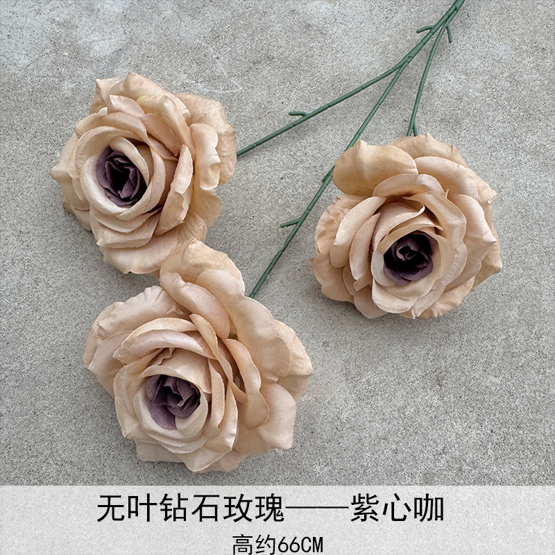 Rosa de diamante sin hoja-9