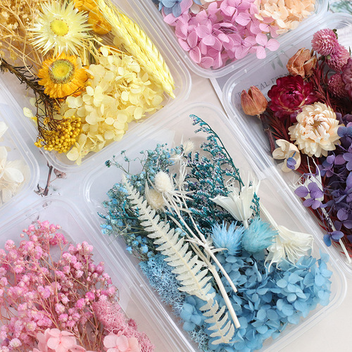 Mixed immortalized flowers, dried flowers, diy material package, real flowers, naturally dried candles, fan photo frames, decorative dried flower boxes