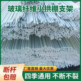 新型玻璃纤维杆种菜家用架子黄瓜豆角支架杆蔬菜瓜果棚拱杆攀爬架