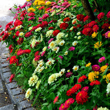 lղݷNӰվջN_ͥԺ^ݻܷN