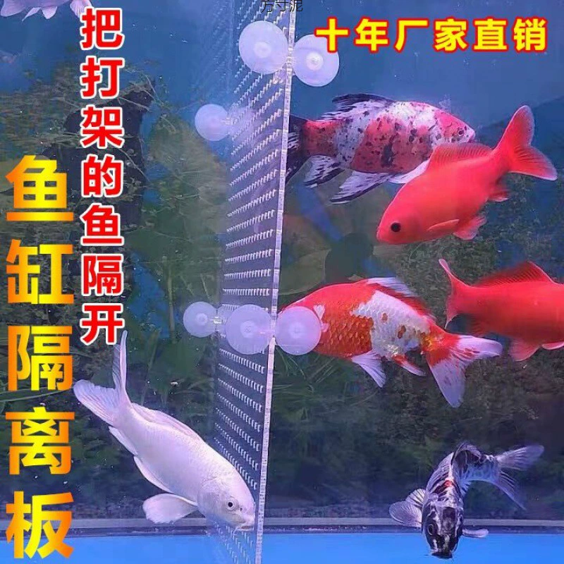 Прозрачная аквариум перегородка разделительная доска аквариумная перегородка небольшая сетка акриловой доски отрезать крышка Amazon