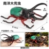 HFM Hollow Nanyang D6